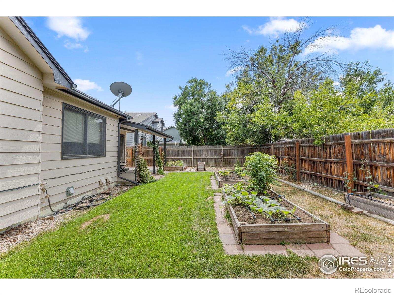 MLS Image #30 for 1723  sumac street,longmont, Colorado