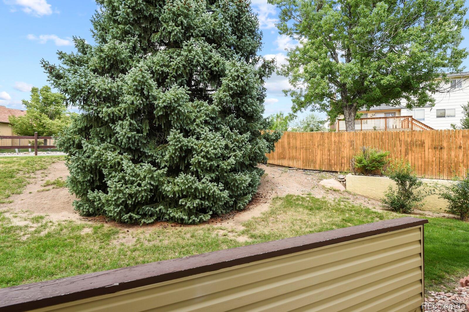 MLS Image #27 for 5024  secota lane,colorado springs, Colorado