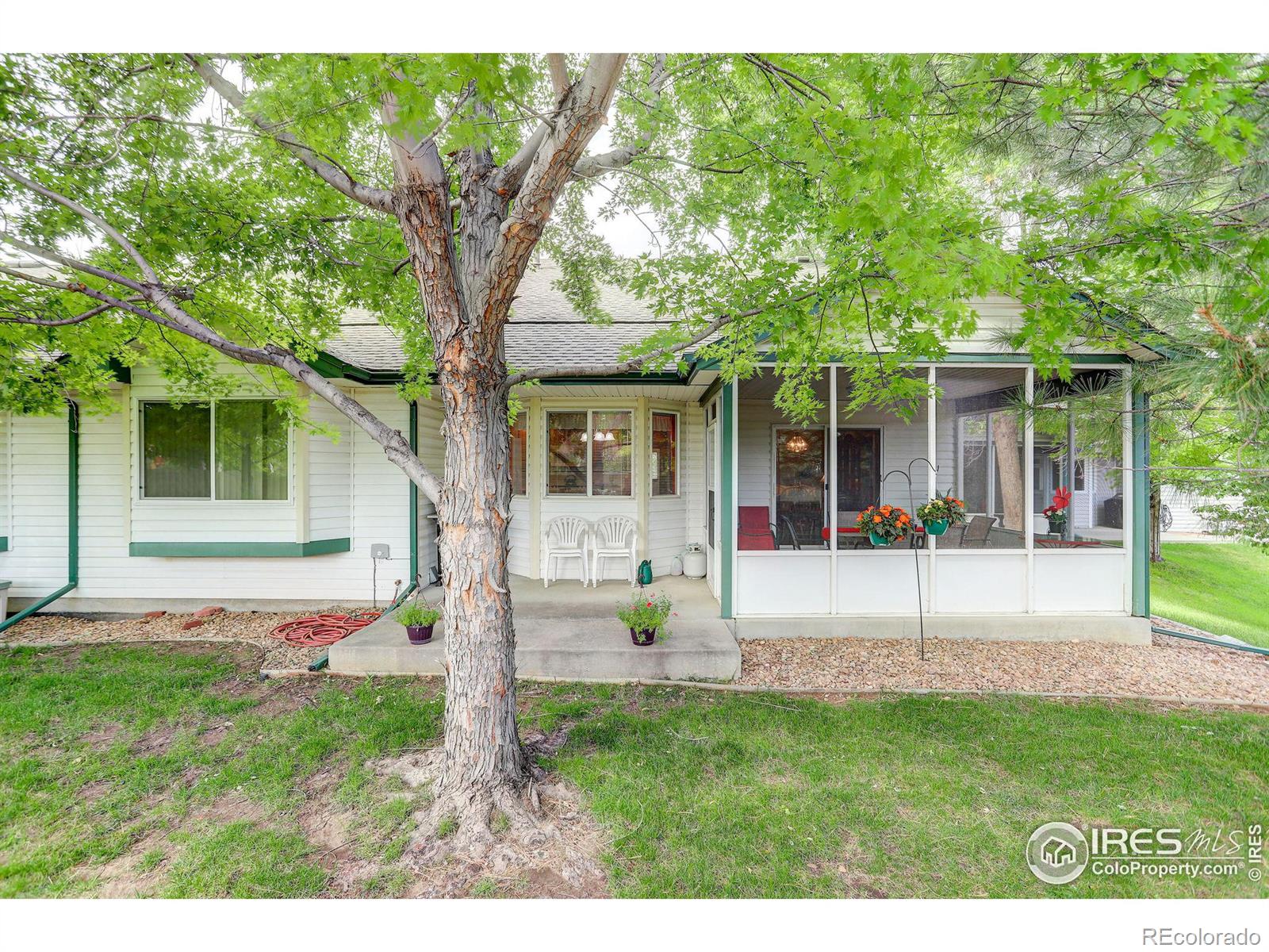 MLS Image #31 for 1718  grove court,longmont, Colorado