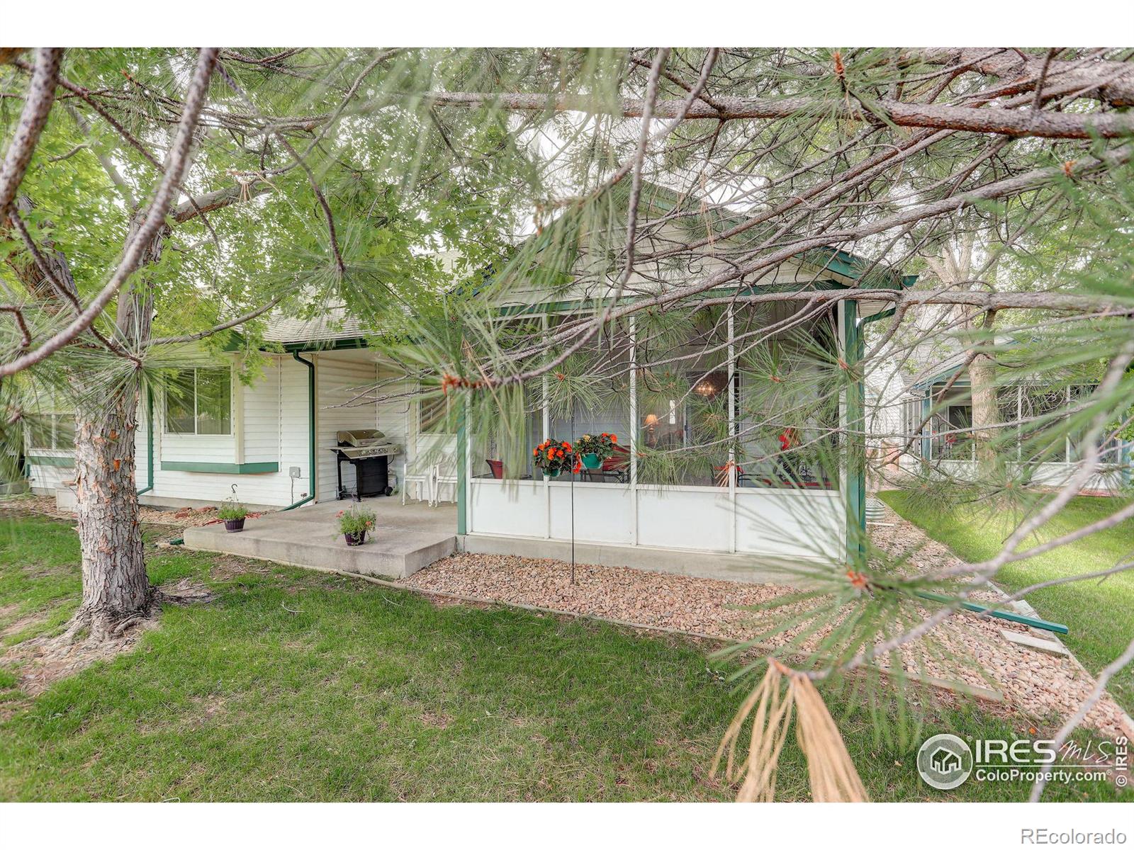 MLS Image #32 for 1718  grove court,longmont, Colorado