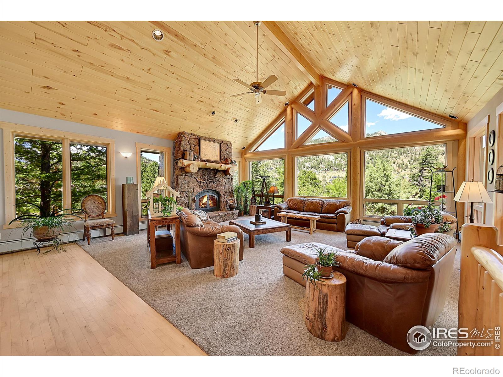 MLS Image #6 for 1950  cherokee drive,estes park, Colorado