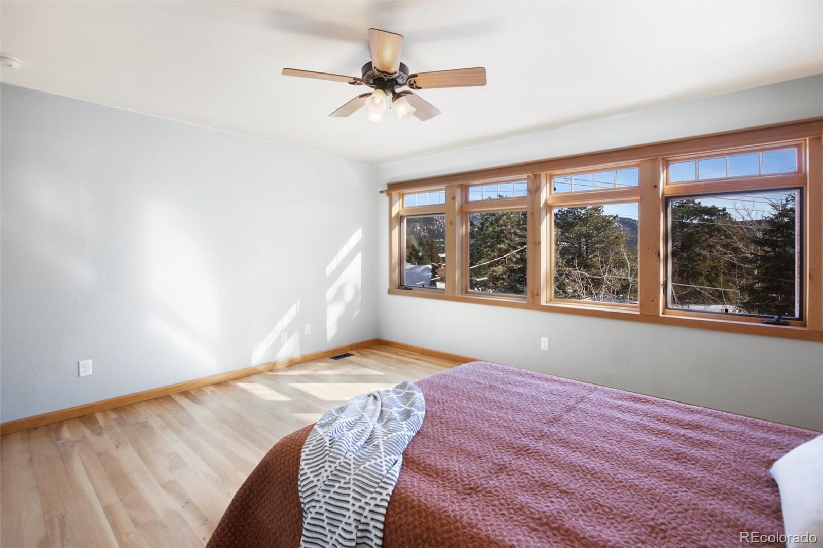 MLS Image #21 for 435  timber lane,woodland park, Colorado