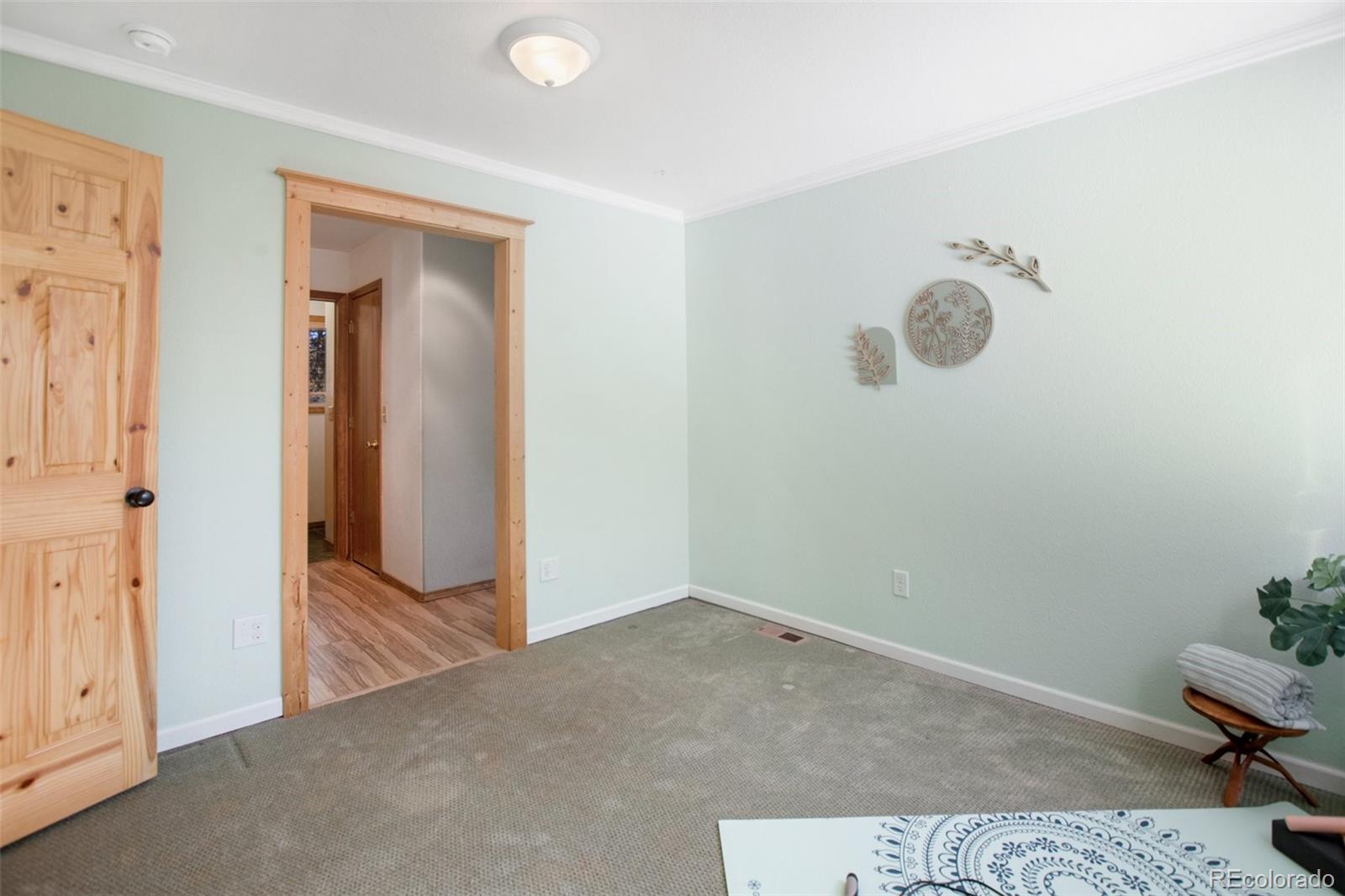 MLS Image #26 for 435  timber lane,woodland park, Colorado