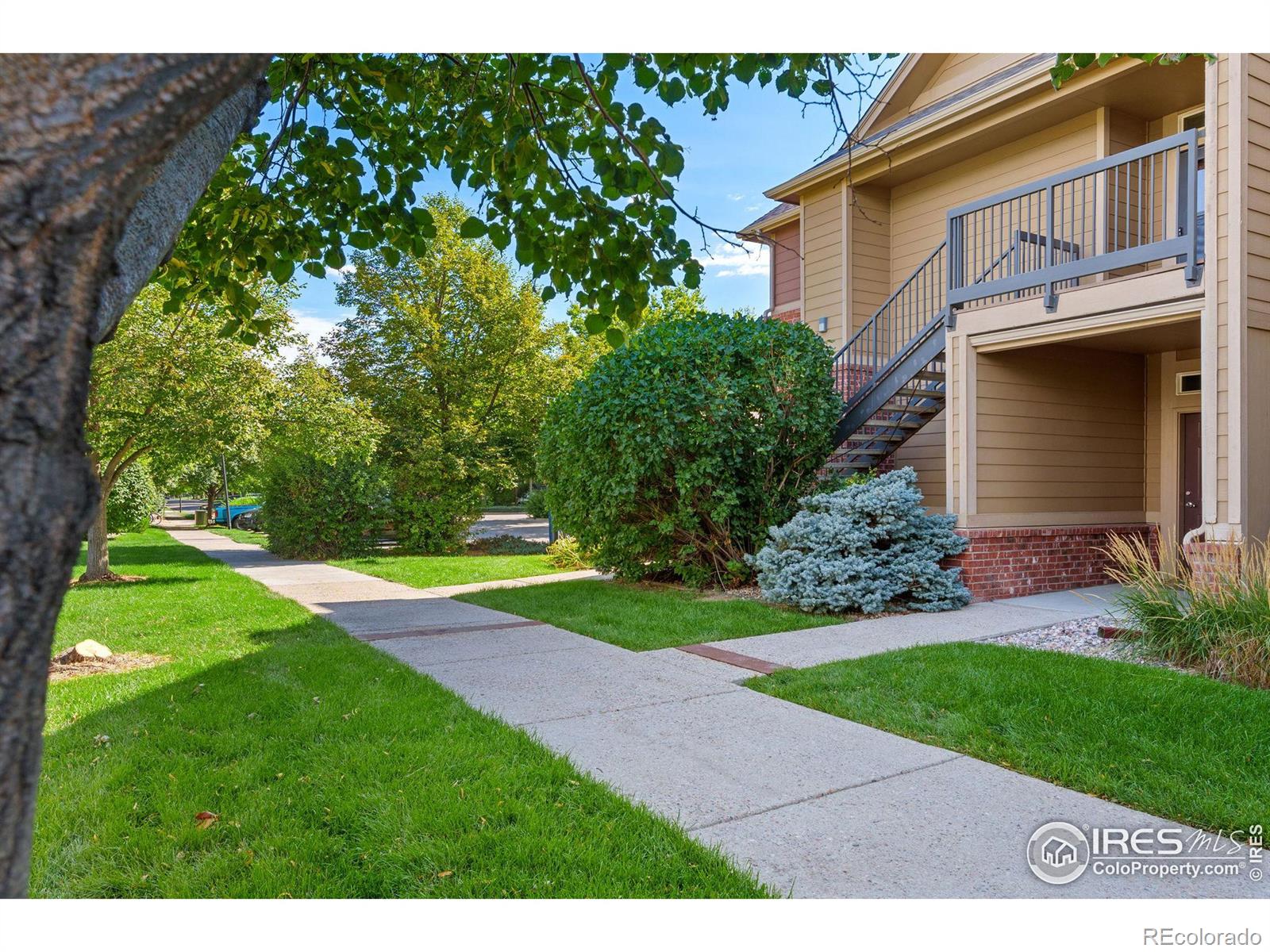 MLS Image #22 for 2133  krisron road,fort collins, Colorado