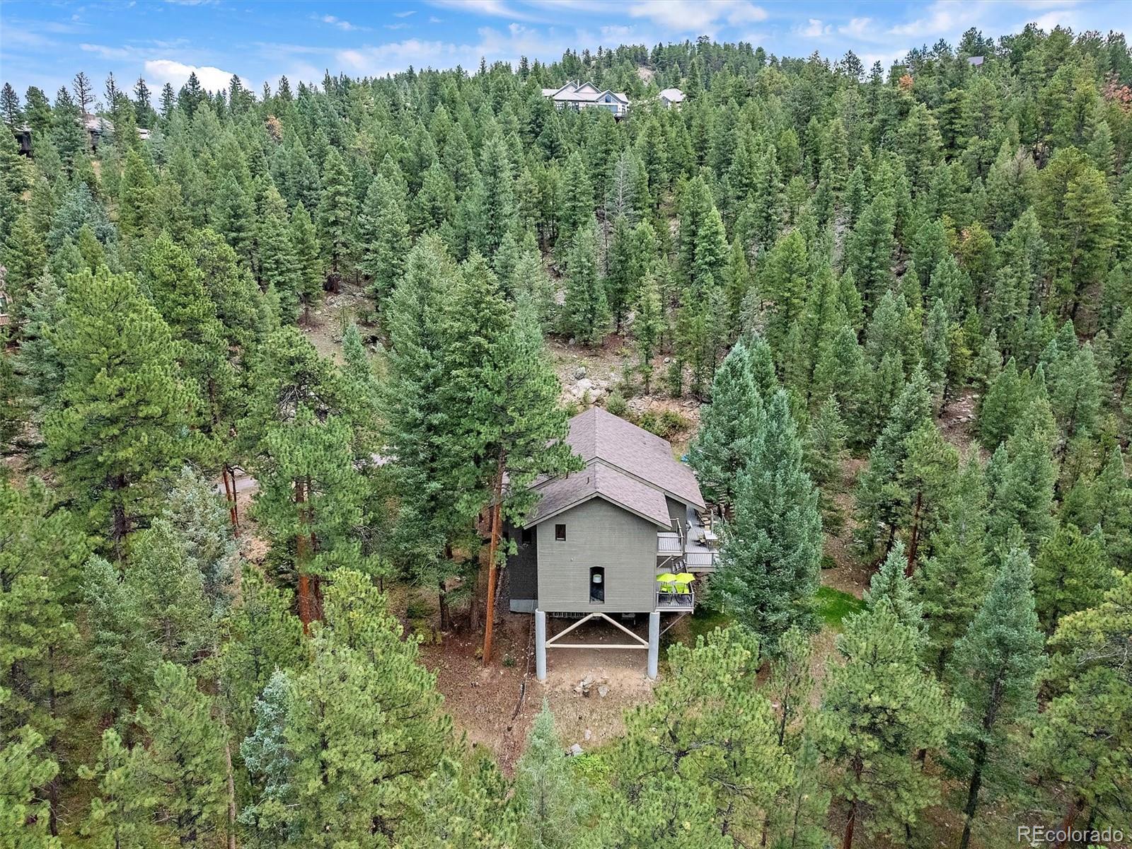 MLS Image #44 for 3816  spring valley trail,evergreen, Colorado