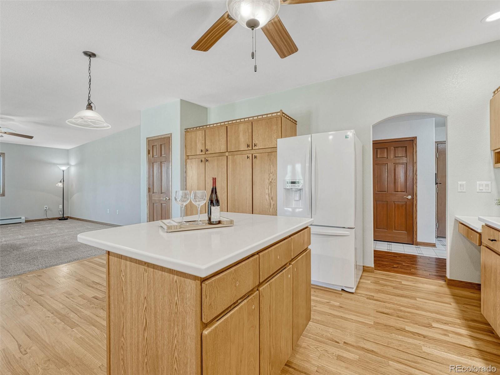 MLS Image #11 for 983  amanda pines drive,parker, Colorado