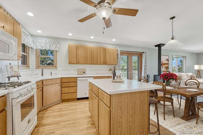 MLS Image #19 for 983  amanda pines drive,parker, Colorado