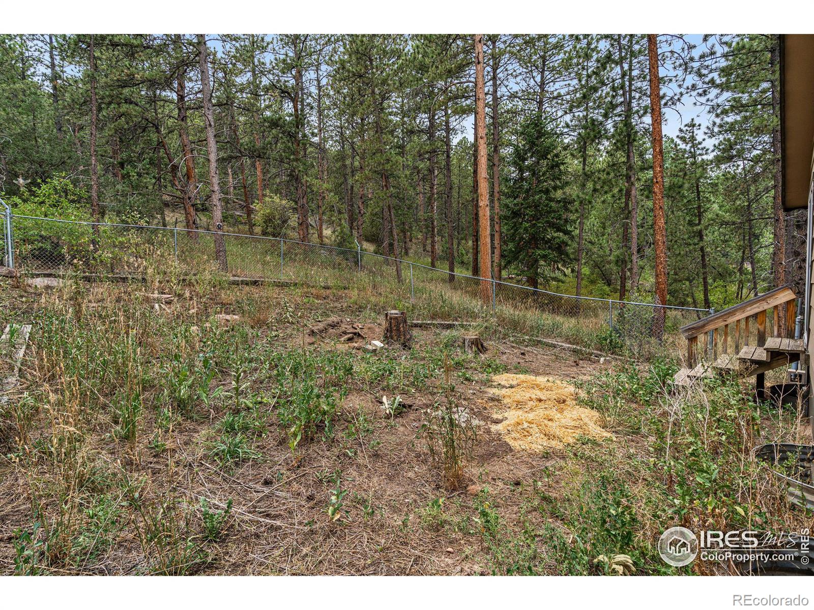 MLS Image #28 for 333  pinewood drive,lyons, Colorado