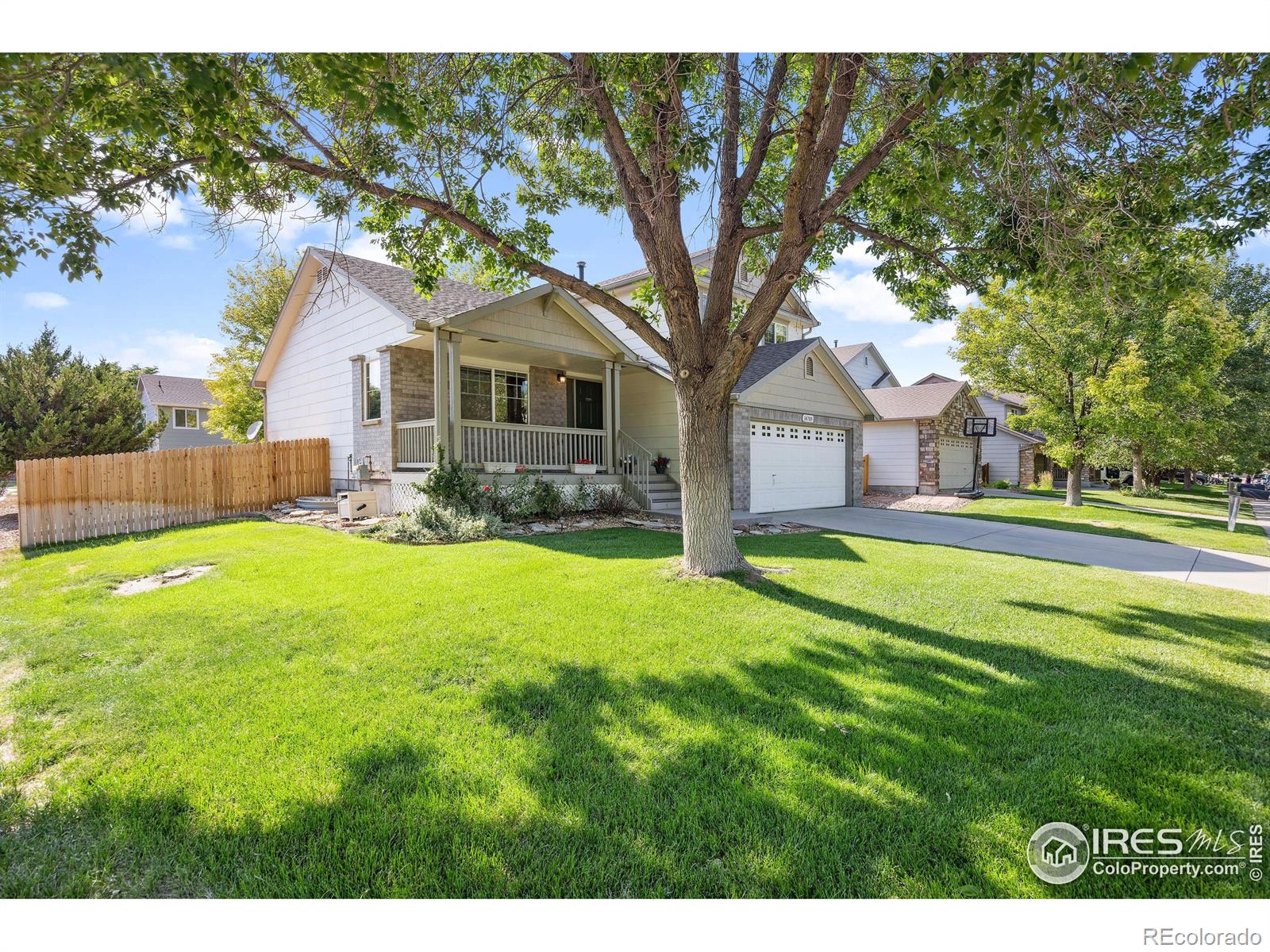 MLS Image #2 for 14705  vine street,thornton, Colorado