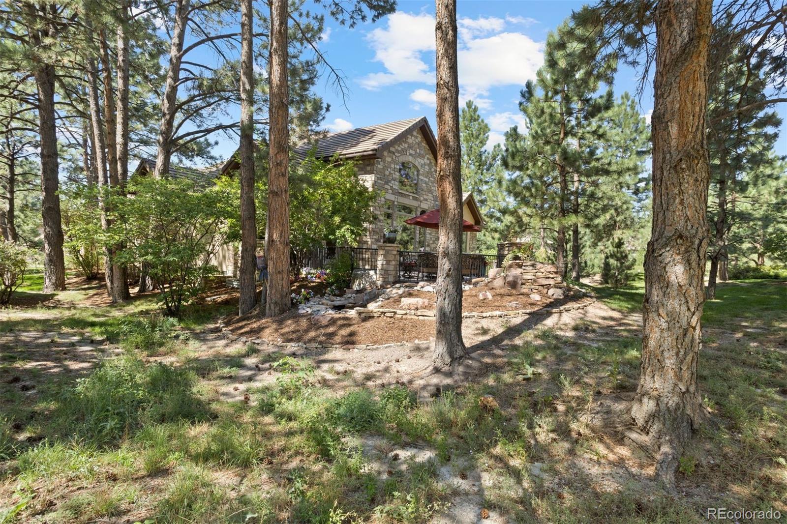 MLS Image #6 for 5271  red pass lane,castle rock, Colorado