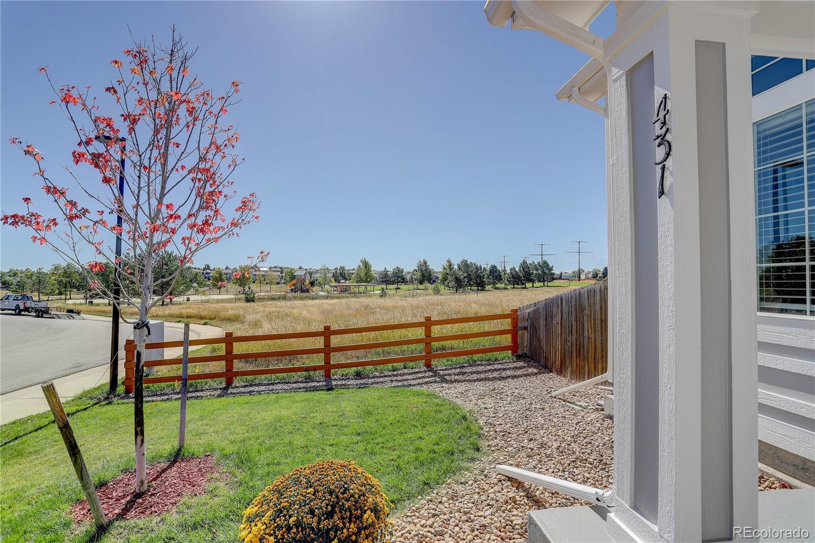 MLS Image #41 for 431  high plains street,castle rock, Colorado