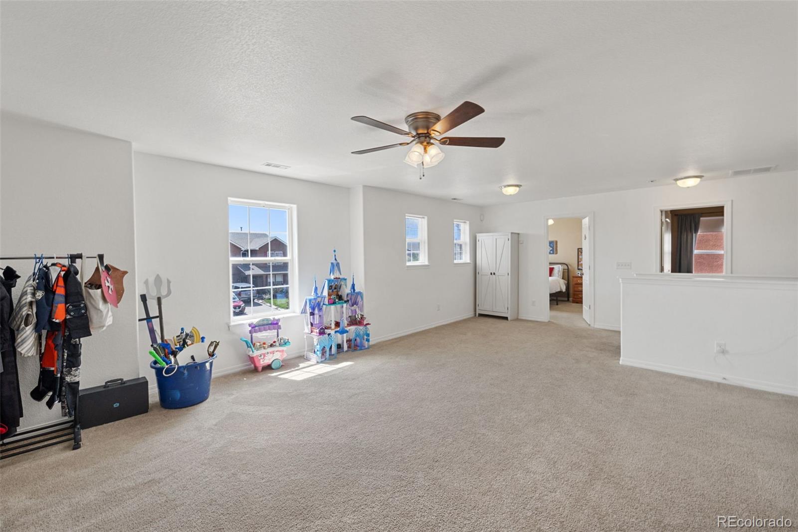 MLS Image #21 for 3644  chia drive,colorado springs, Colorado