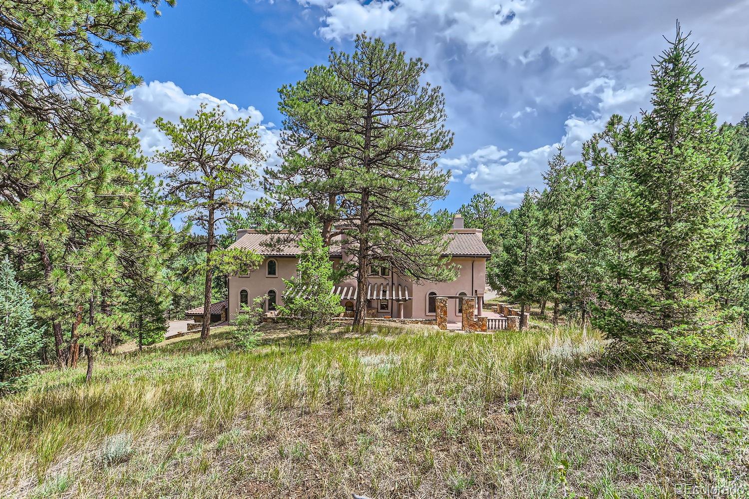 MLS Image #38 for 26600  mowbray court,evergreen, Colorado