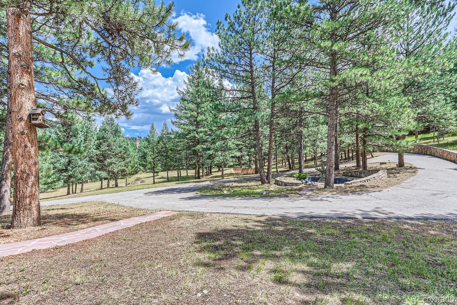 MLS Image #43 for 26600  mowbray court,evergreen, Colorado