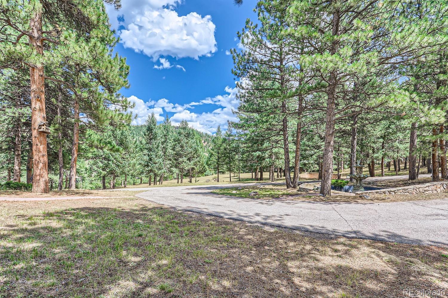 MLS Image #44 for 26600  mowbray court,evergreen, Colorado