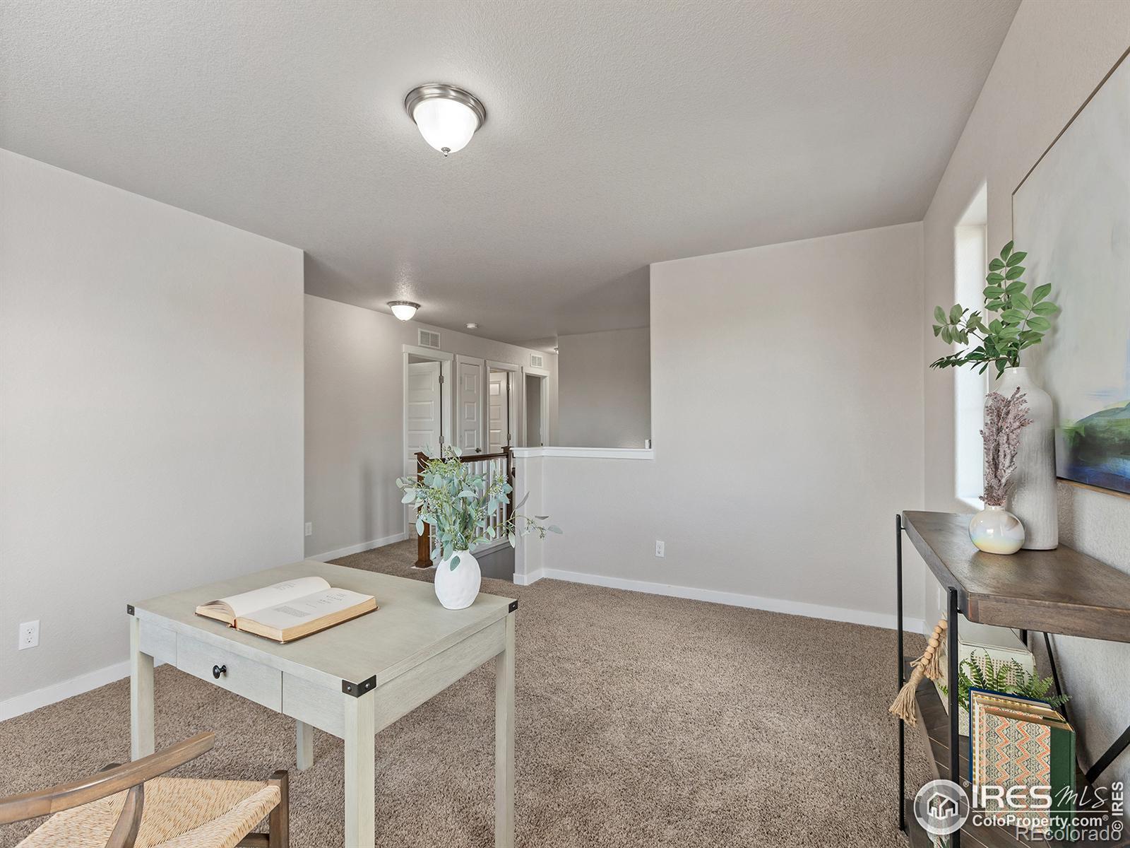 MLS Image #29 for 1787  valley brook lane,severance, Colorado