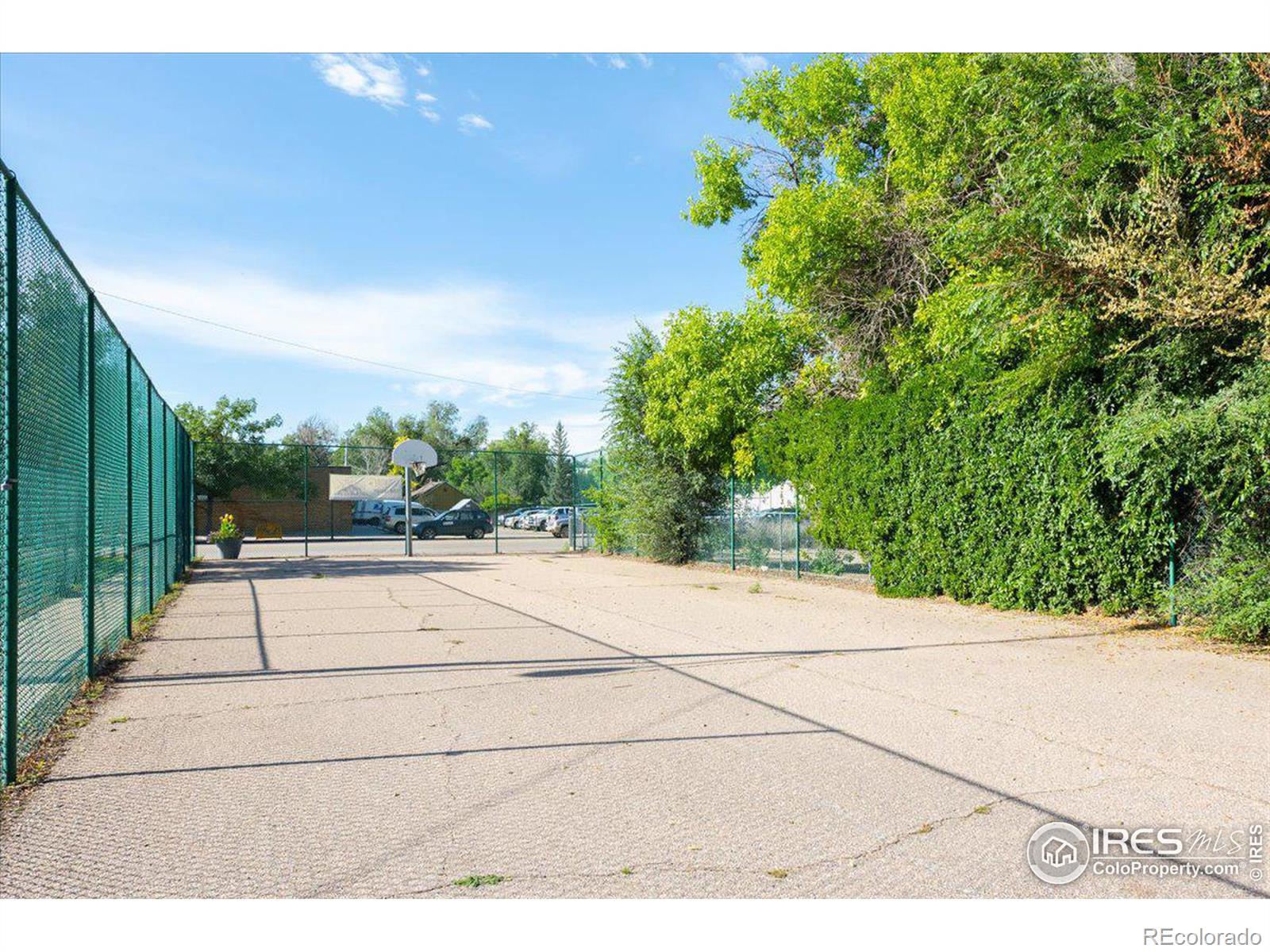 MLS Image #25 for 3912  lincoln court,wellington, Colorado