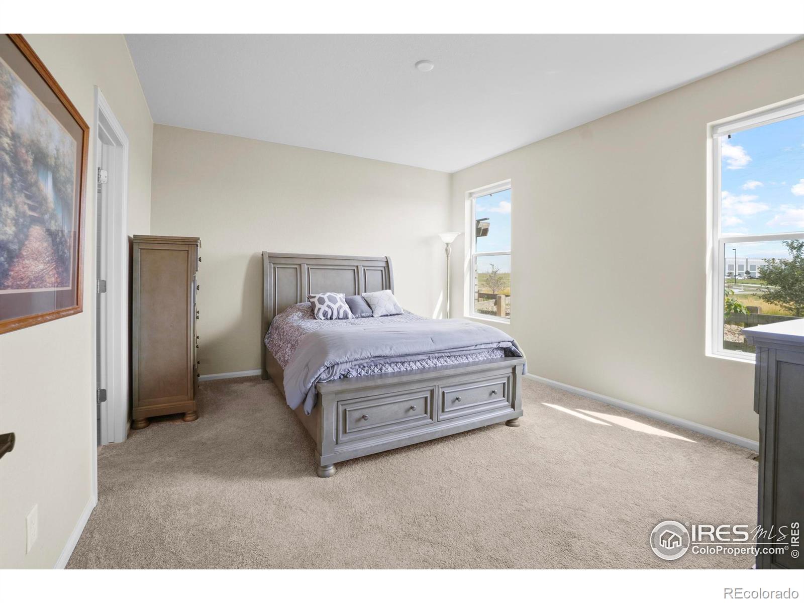 MLS Image #13 for 4171  chasm lake drive,loveland, Colorado