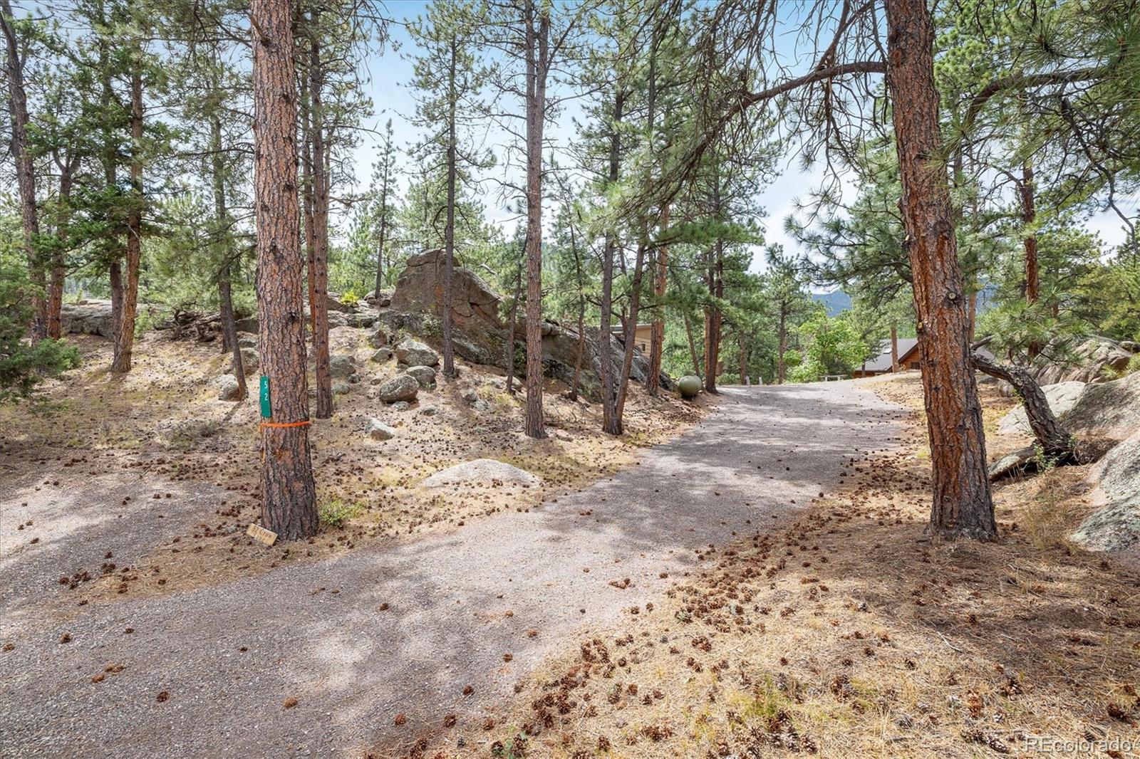 MLS Image #5 for 52  crow lane,lyons, Colorado