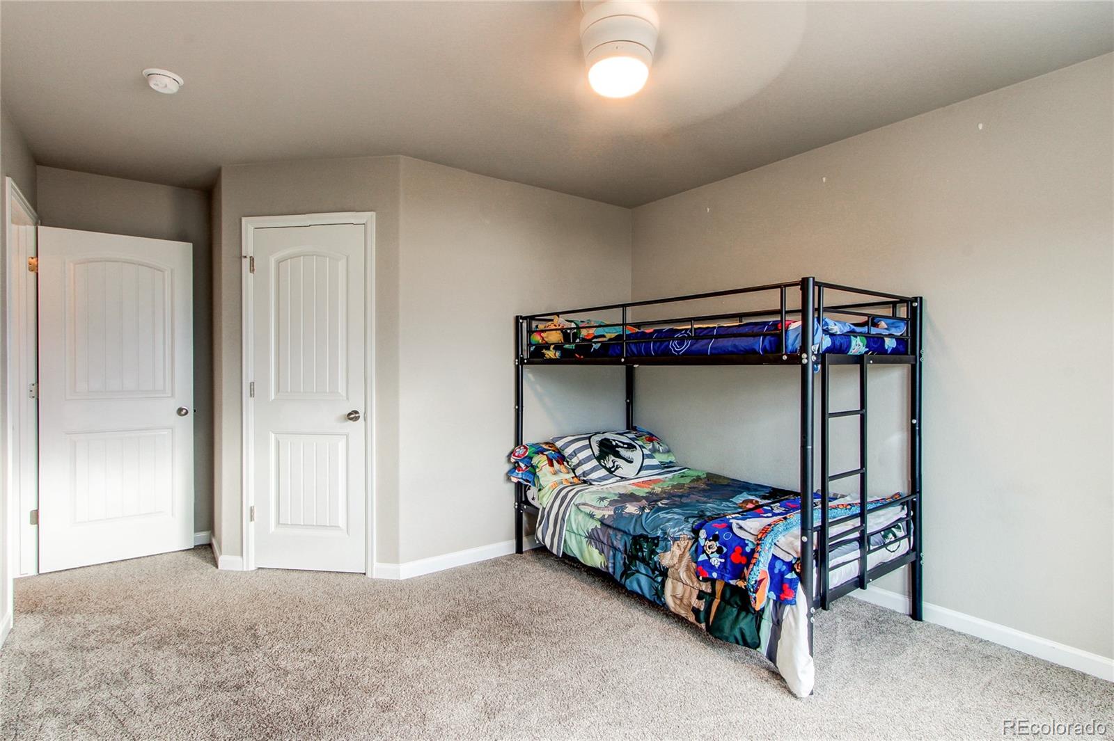 MLS Image #15 for 1008  petra heights,colorado springs, Colorado