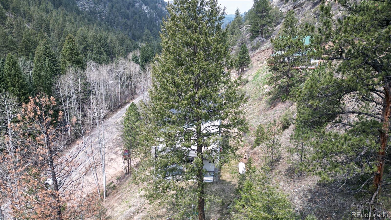 MLS Image #39 for 1410  fall river road,idaho springs, Colorado