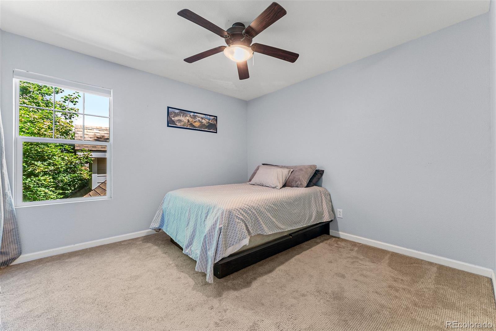 MLS Image #38 for 4234  san marco drive,longmont, Colorado