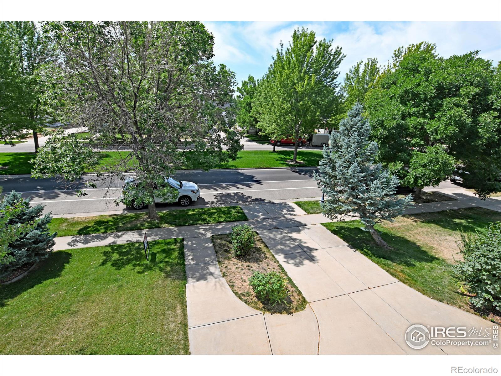 MLS Image #23 for 1420  grand avenue,windsor, Colorado