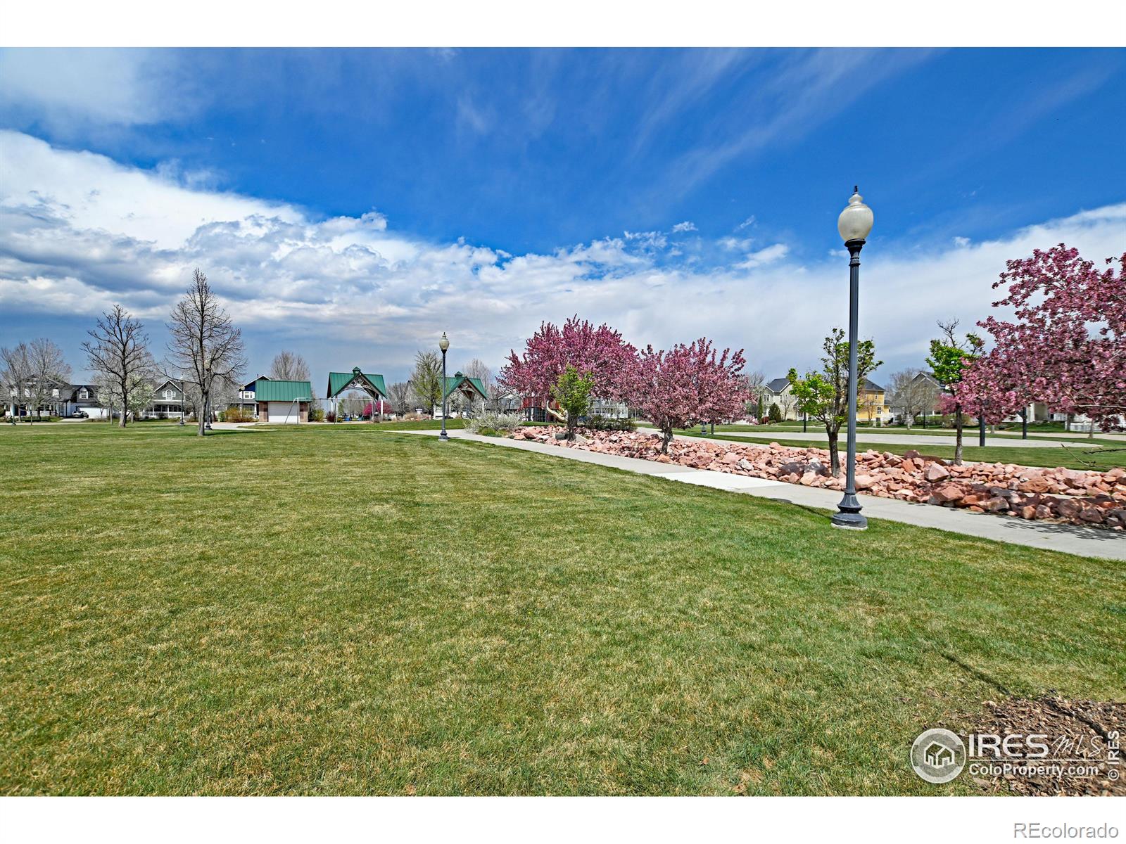 MLS Image #38 for 1420  grand avenue,windsor, Colorado