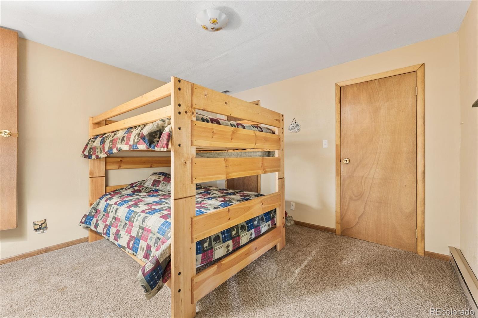 MLS Image #39 for 166  peterson drive,alma, Colorado