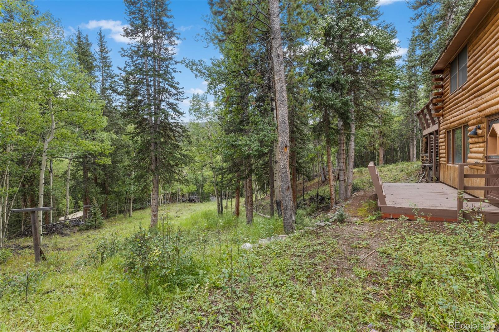 MLS Image #46 for 166  peterson drive,alma, Colorado