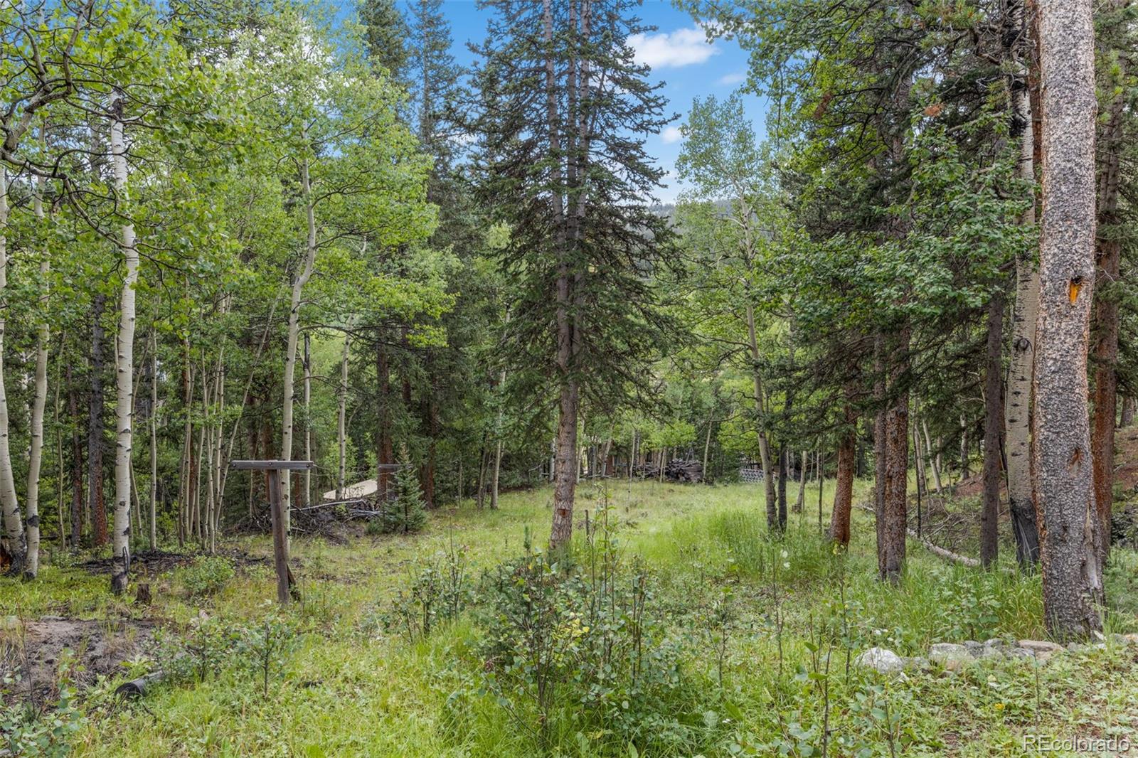 MLS Image #47 for 166  peterson drive,alma, Colorado