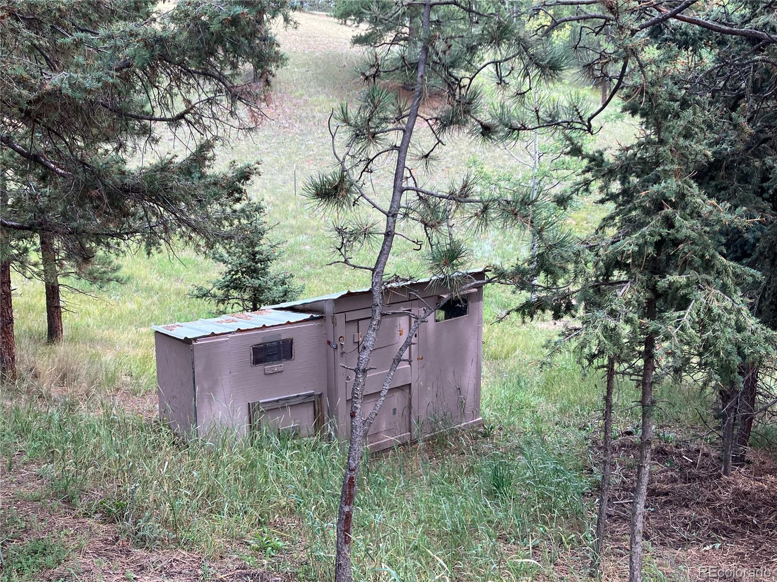 MLS Image #10 for 63  star view trail,divide, Colorado