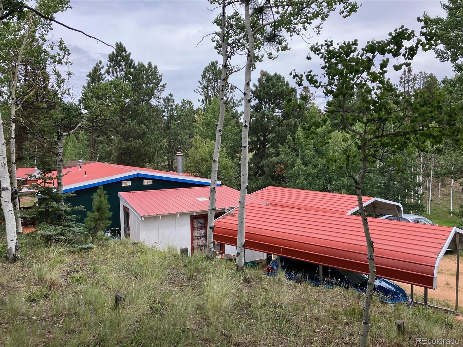 MLS Image #2 for 63  star view trail,divide, Colorado