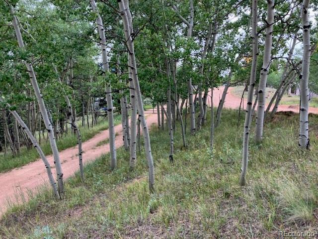 MLS Image #4 for 63  star view trail,divide, Colorado