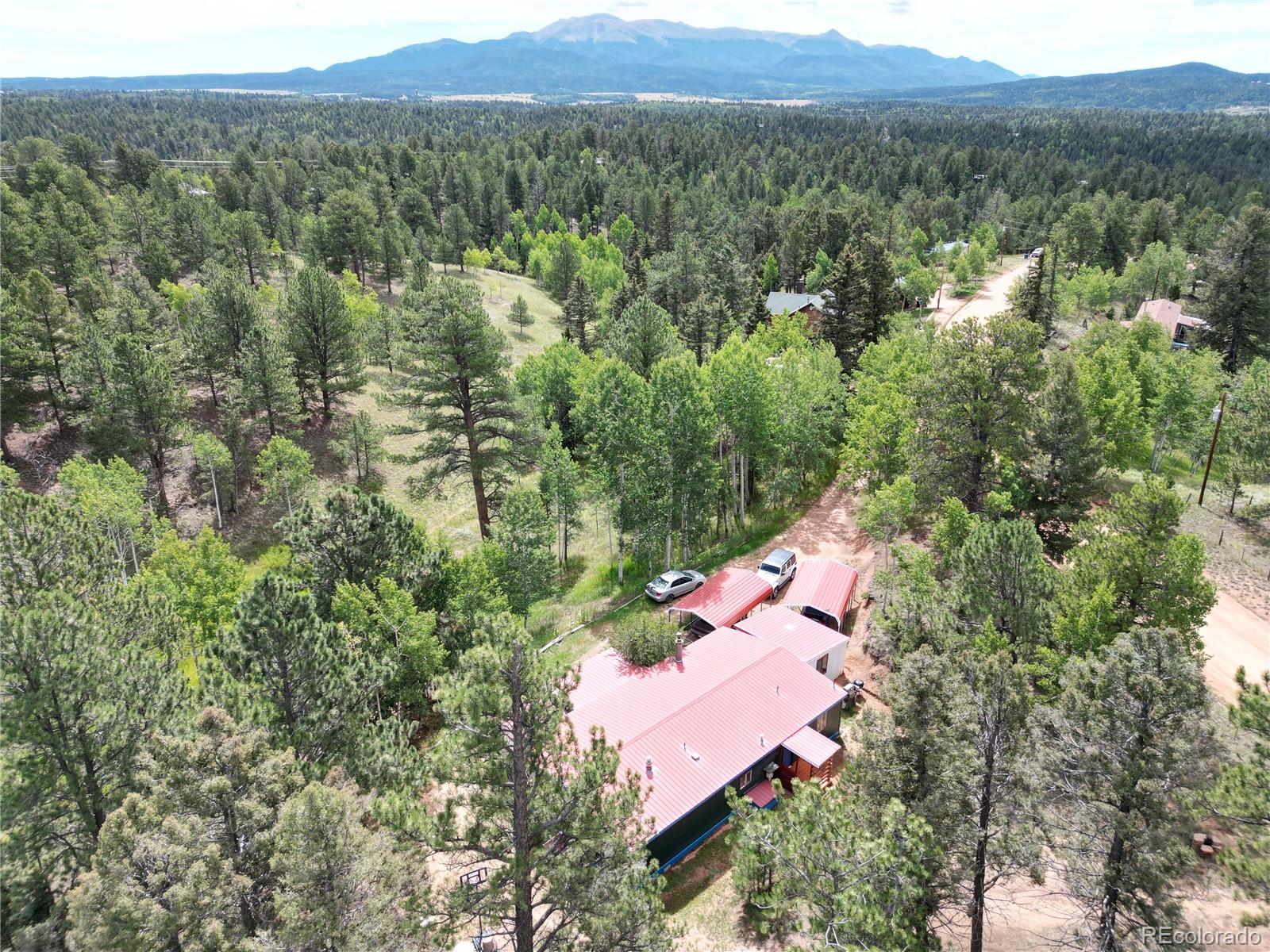 MLS Image #5 for 63  star view trail,divide, Colorado