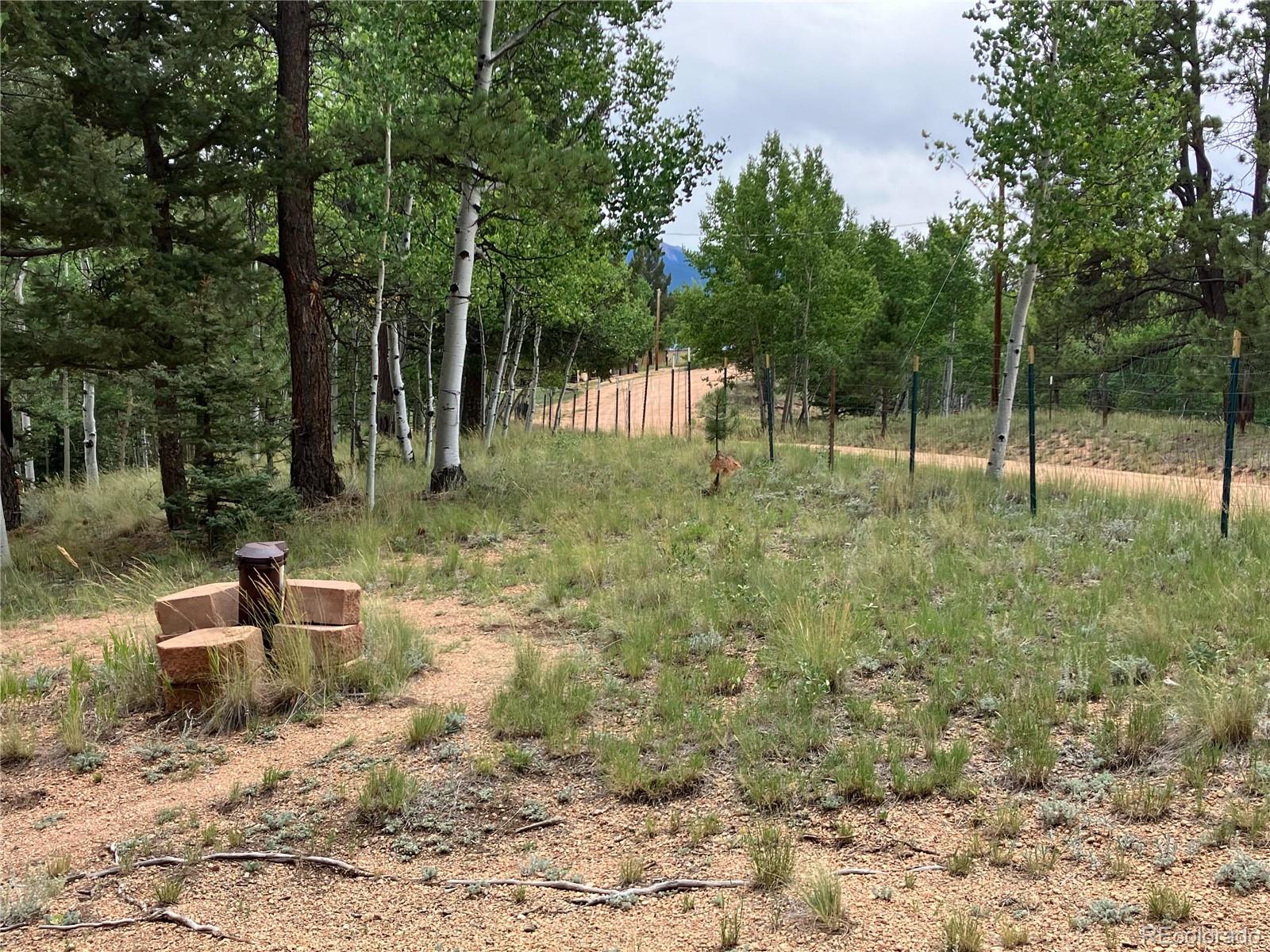 MLS Image #8 for 63  star view trail,divide, Colorado