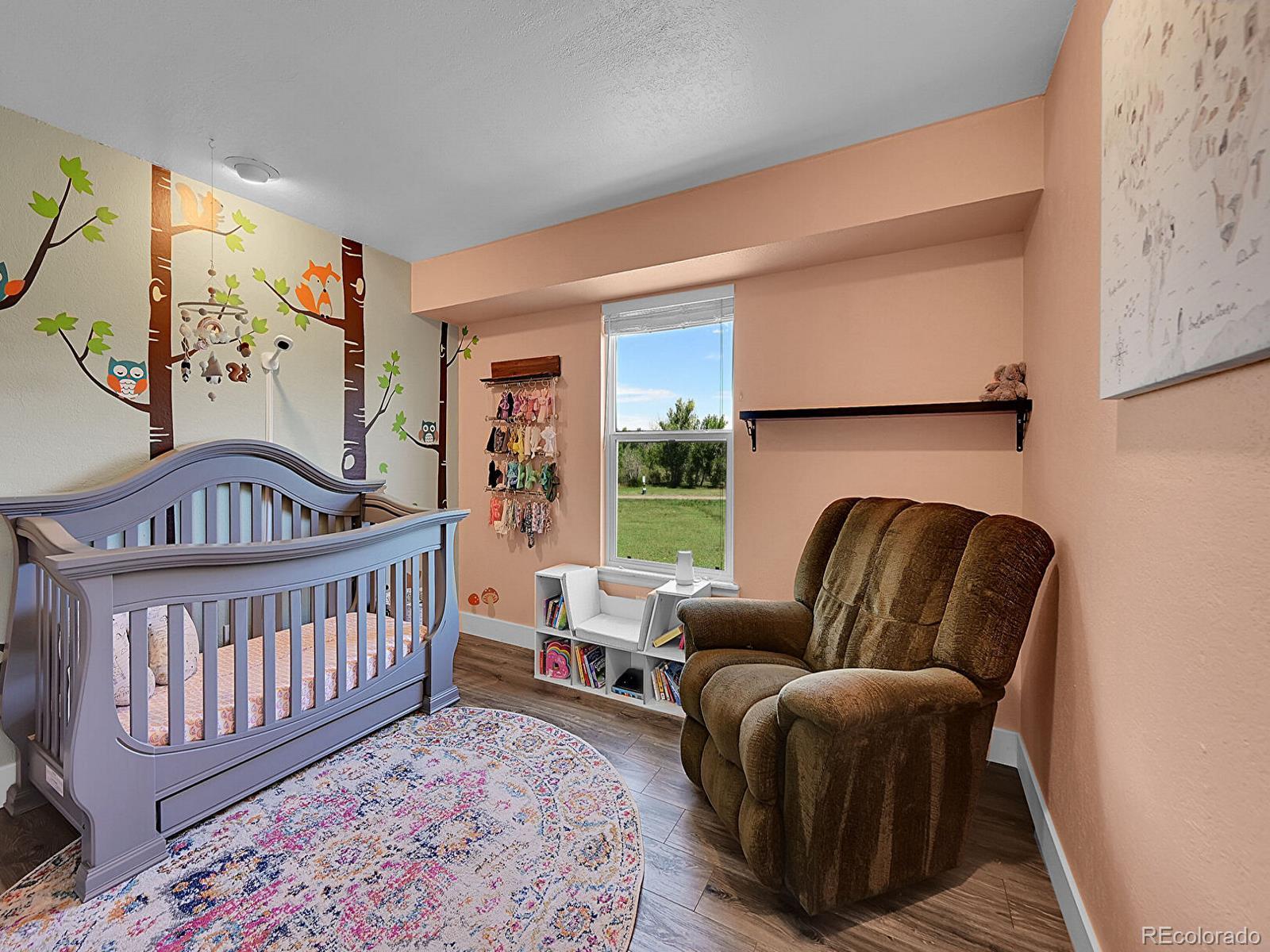 MLS Image #17 for 16931  blue mist circle,parker, Colorado