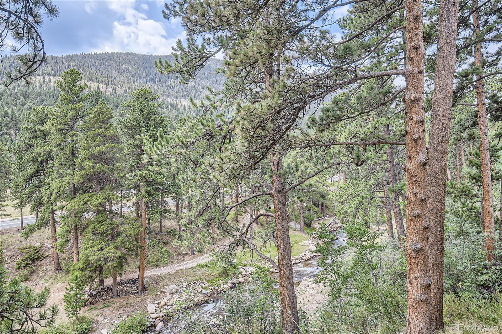 MLS Image #10 for 2760  fall river road,estes park, Colorado