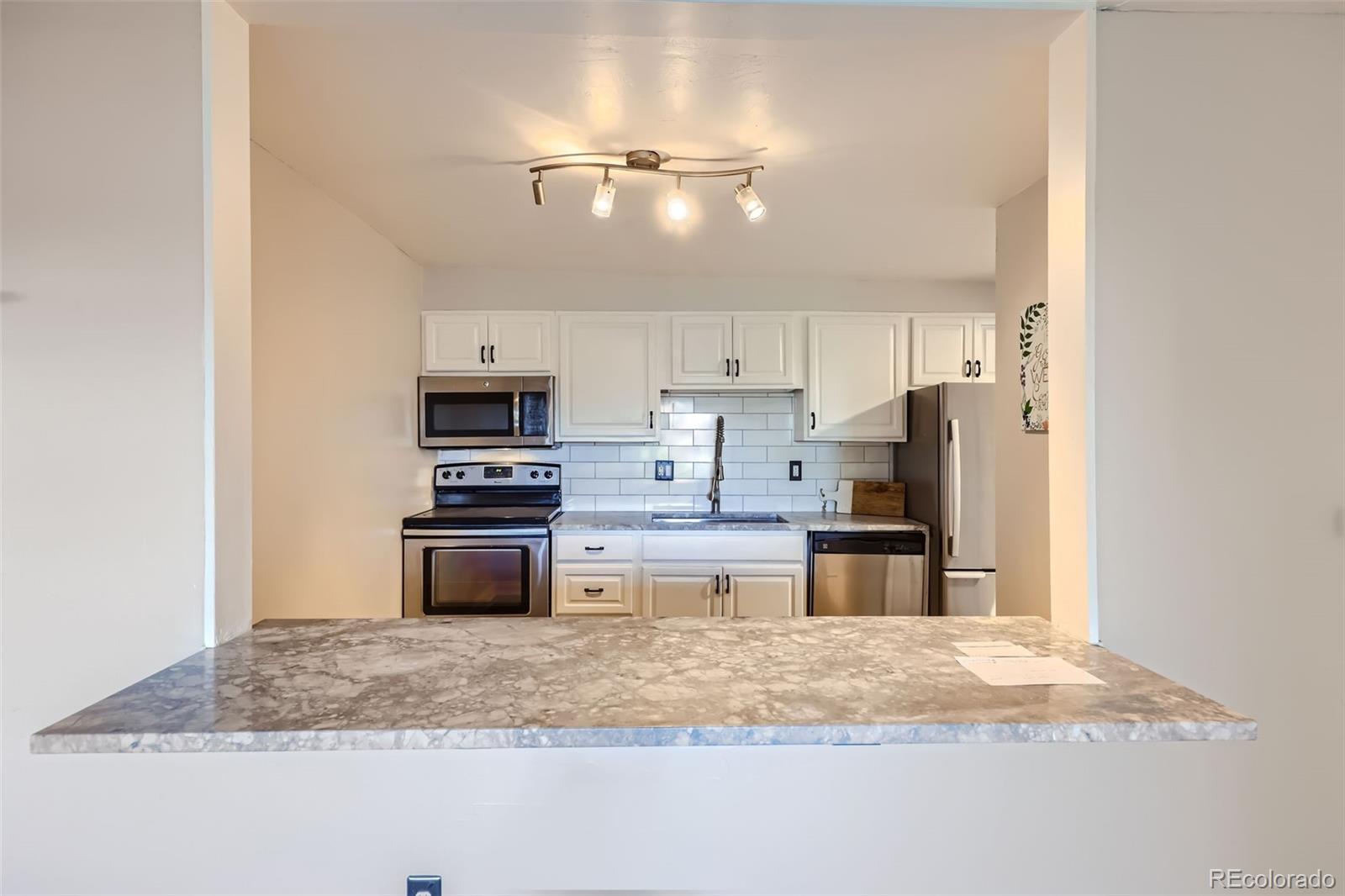 MLS Image #10 for 1008 n corona street,denver, Colorado