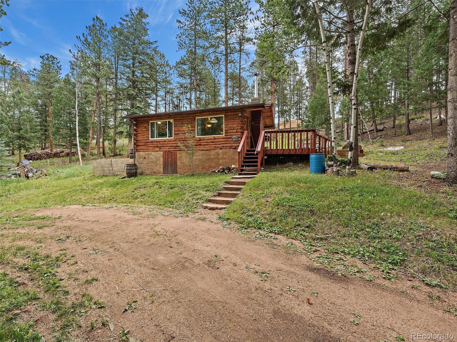 MLS Image #5 for 368  county road 114 ,bailey, Colorado