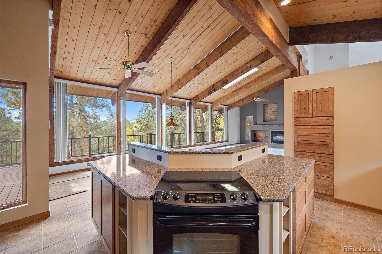 MLS Image #12 for 25100  pleasant park road,conifer, Colorado