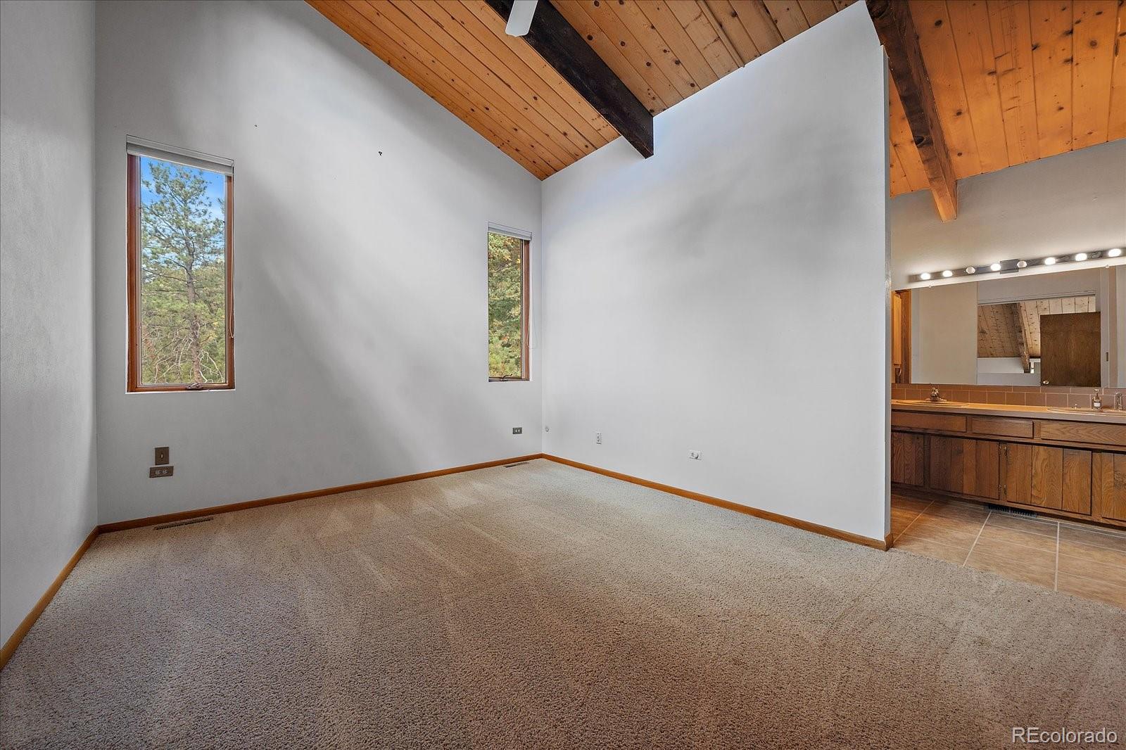 MLS Image #14 for 25100  pleasant park road,conifer, Colorado