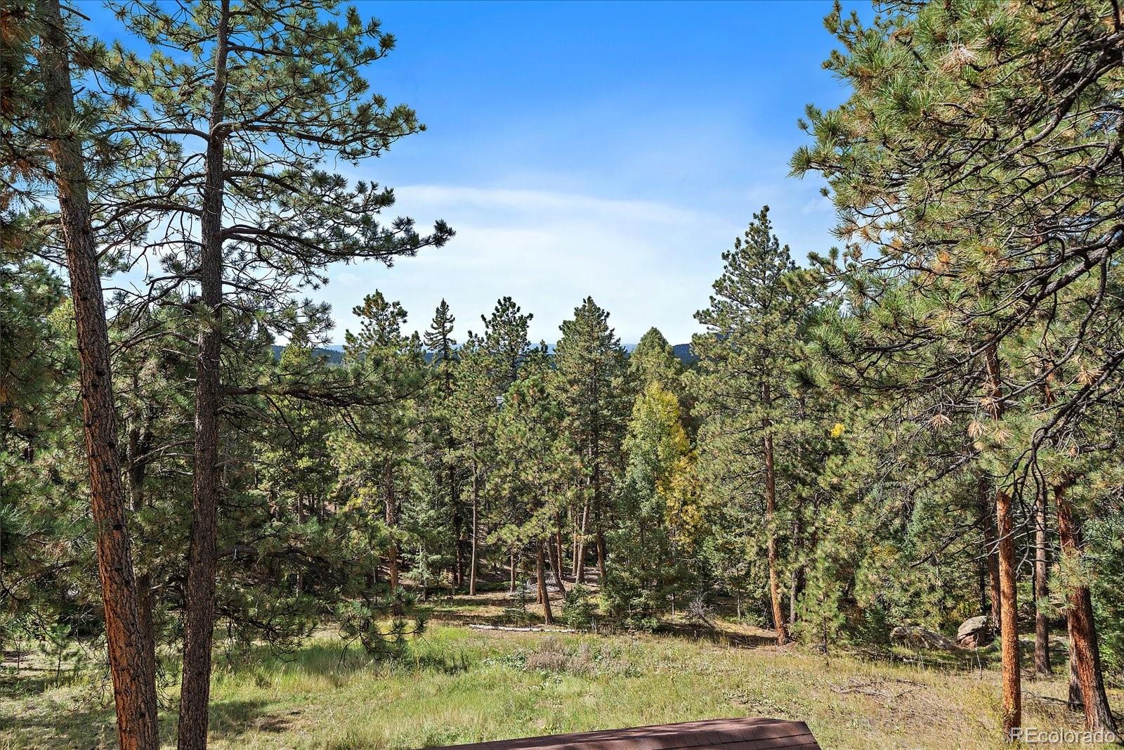 MLS Image #18 for 25100  pleasant park road,conifer, Colorado