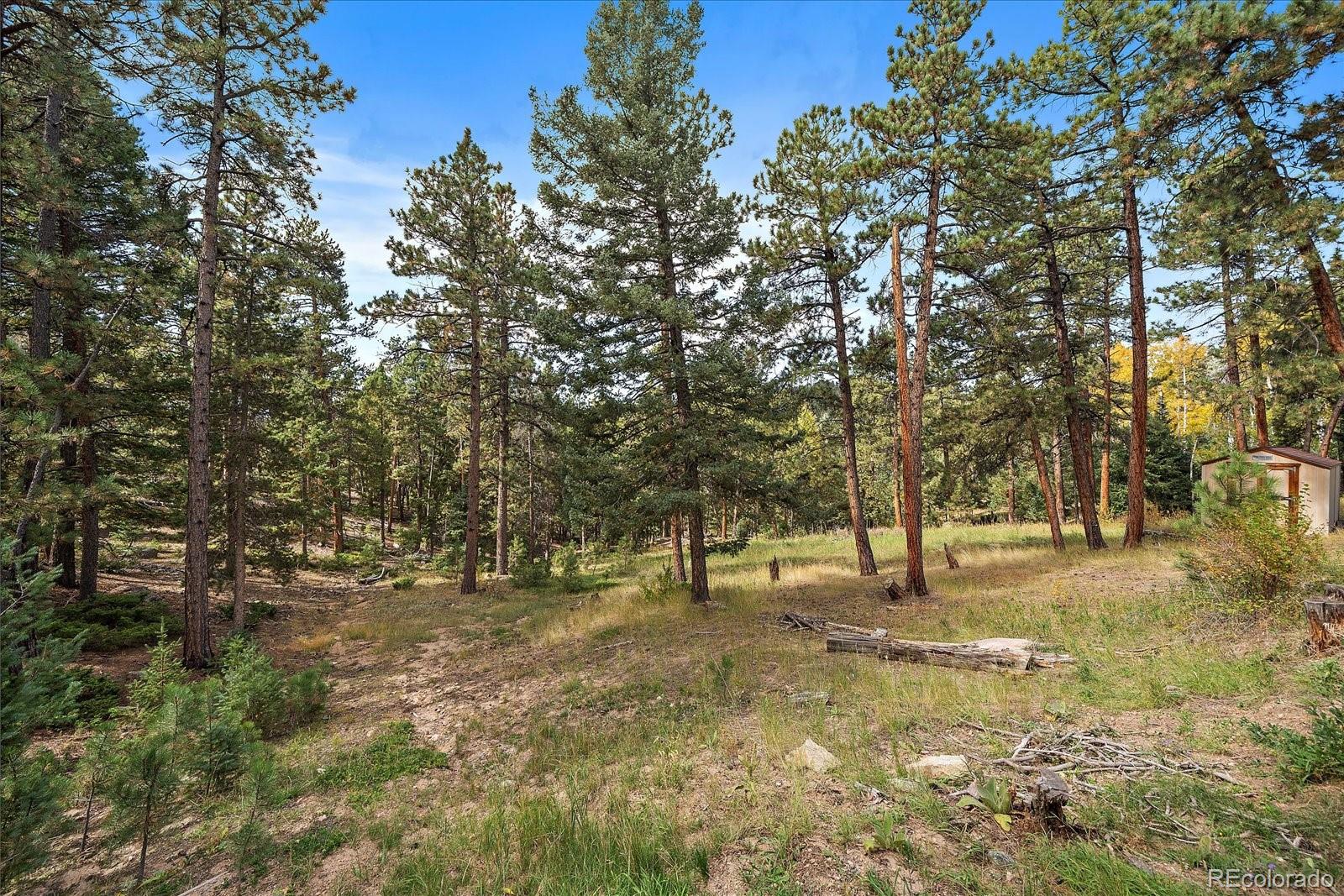 MLS Image #32 for 25100  pleasant park road,conifer, Colorado