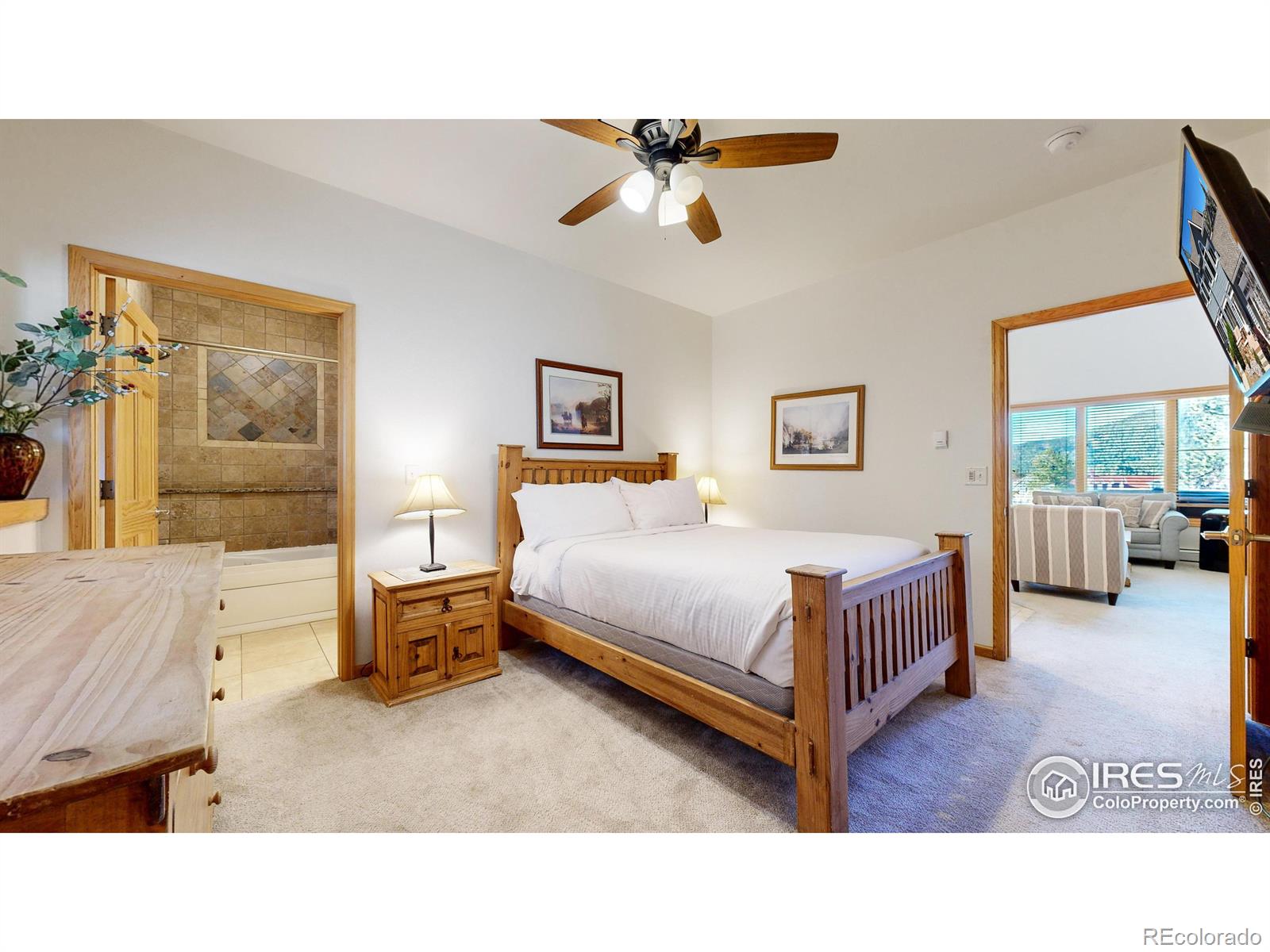 MLS Image #6 for 305  overlook lane,estes park, Colorado