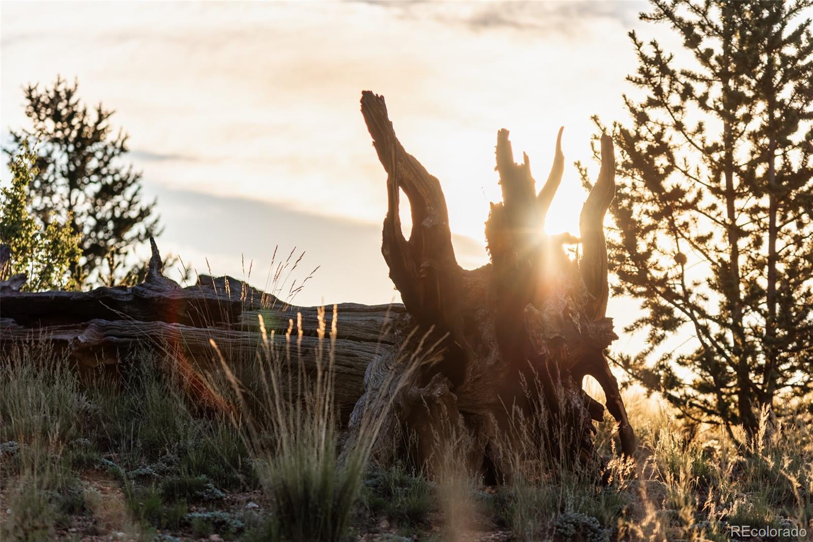 MLS Image #33 for 9  hump path,como, Colorado