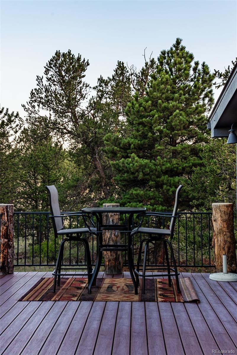 MLS Image #35 for 9  hump path,como, Colorado