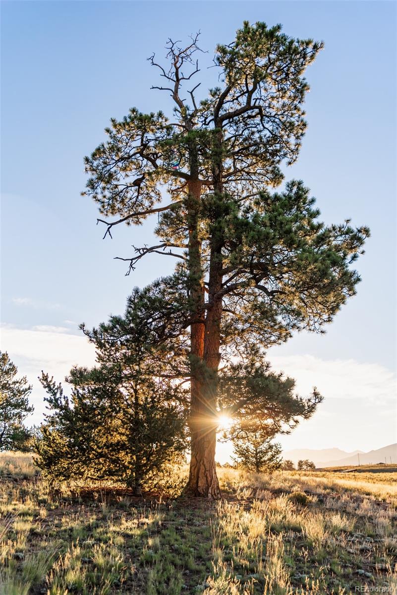 MLS Image #37 for 9  hump path,como, Colorado