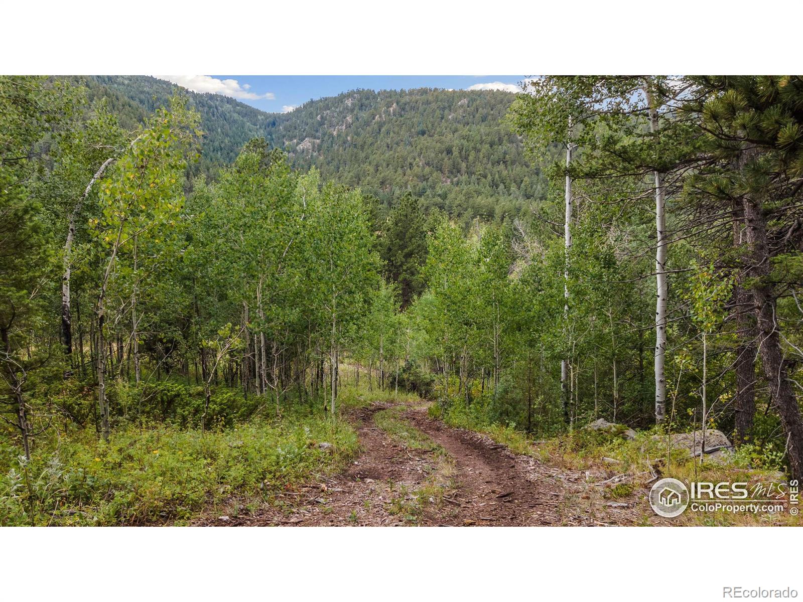 MLS Image #38 for 6399  us highway 36 ,estes park, Colorado