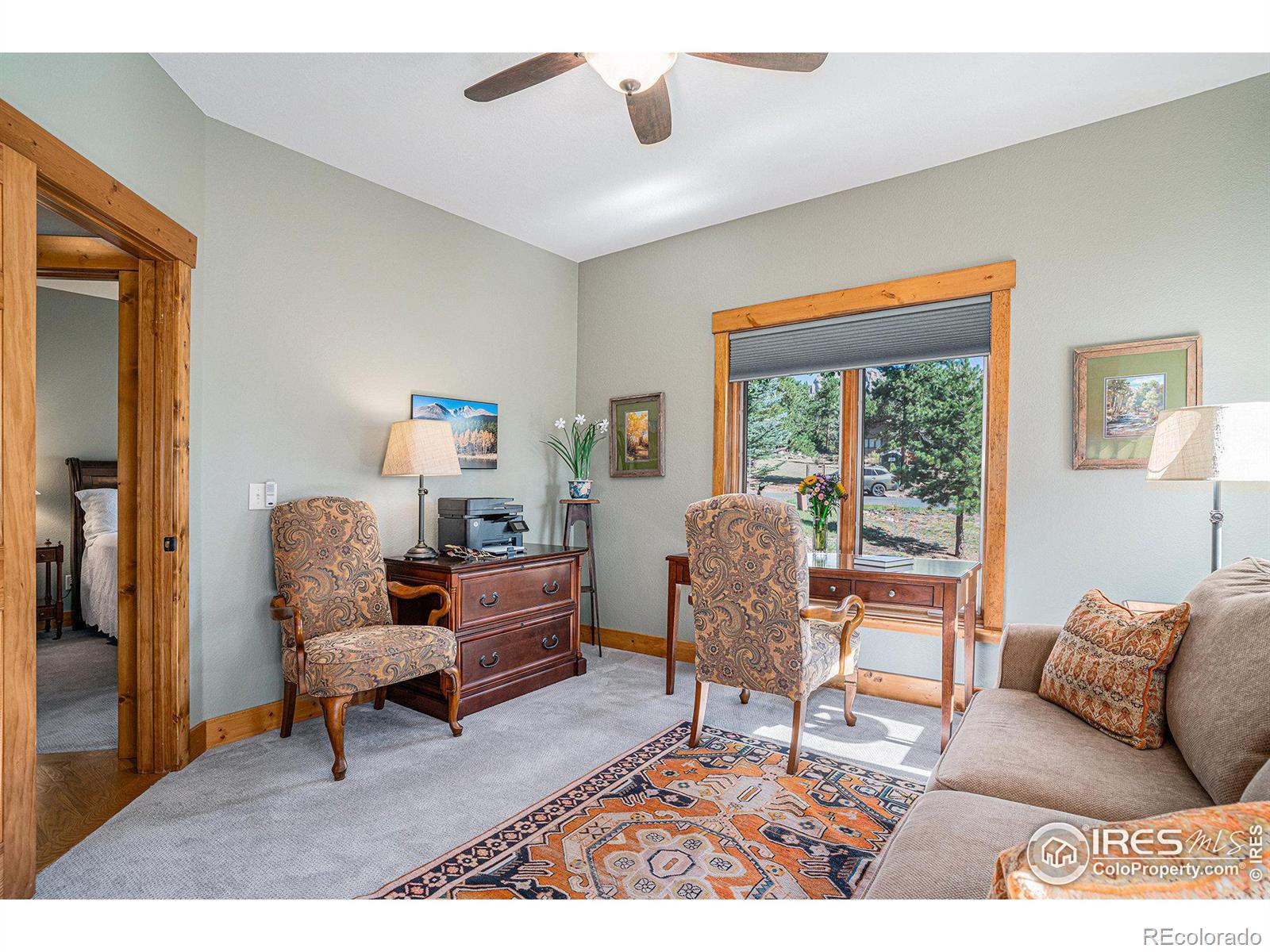 MLS Image #19 for 450  prospector lane,estes park, Colorado